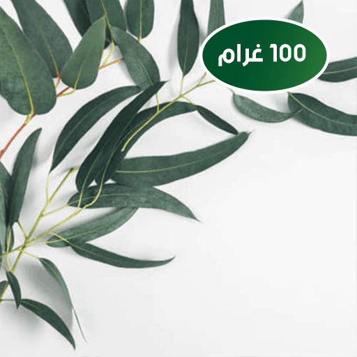 Feuilles d'eucalyptus (أوراق كالبتوس) -  - Livraison Des  Produits Naturels Et 100% Bio