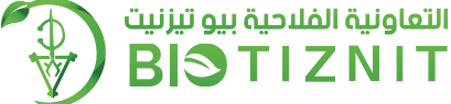 Logo rétina Woostify