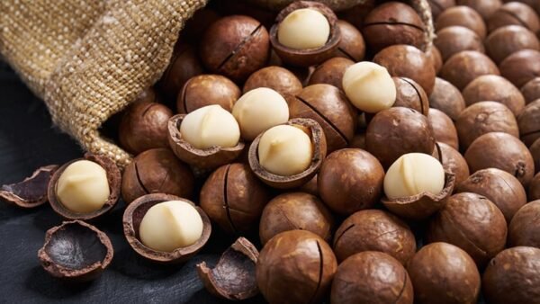 المكاديميا 500 غ